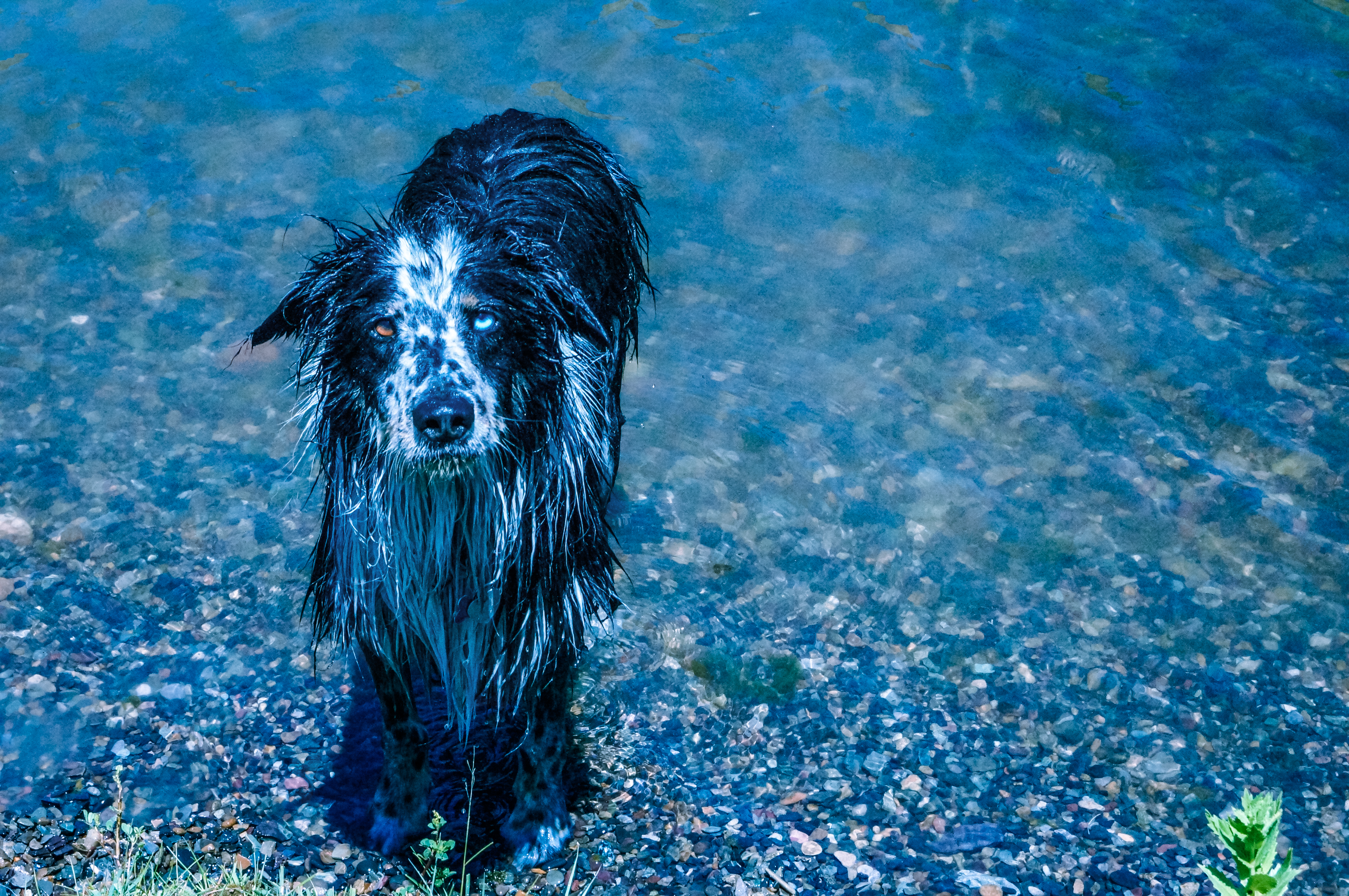 Free Unsplash photo from CJ Williams