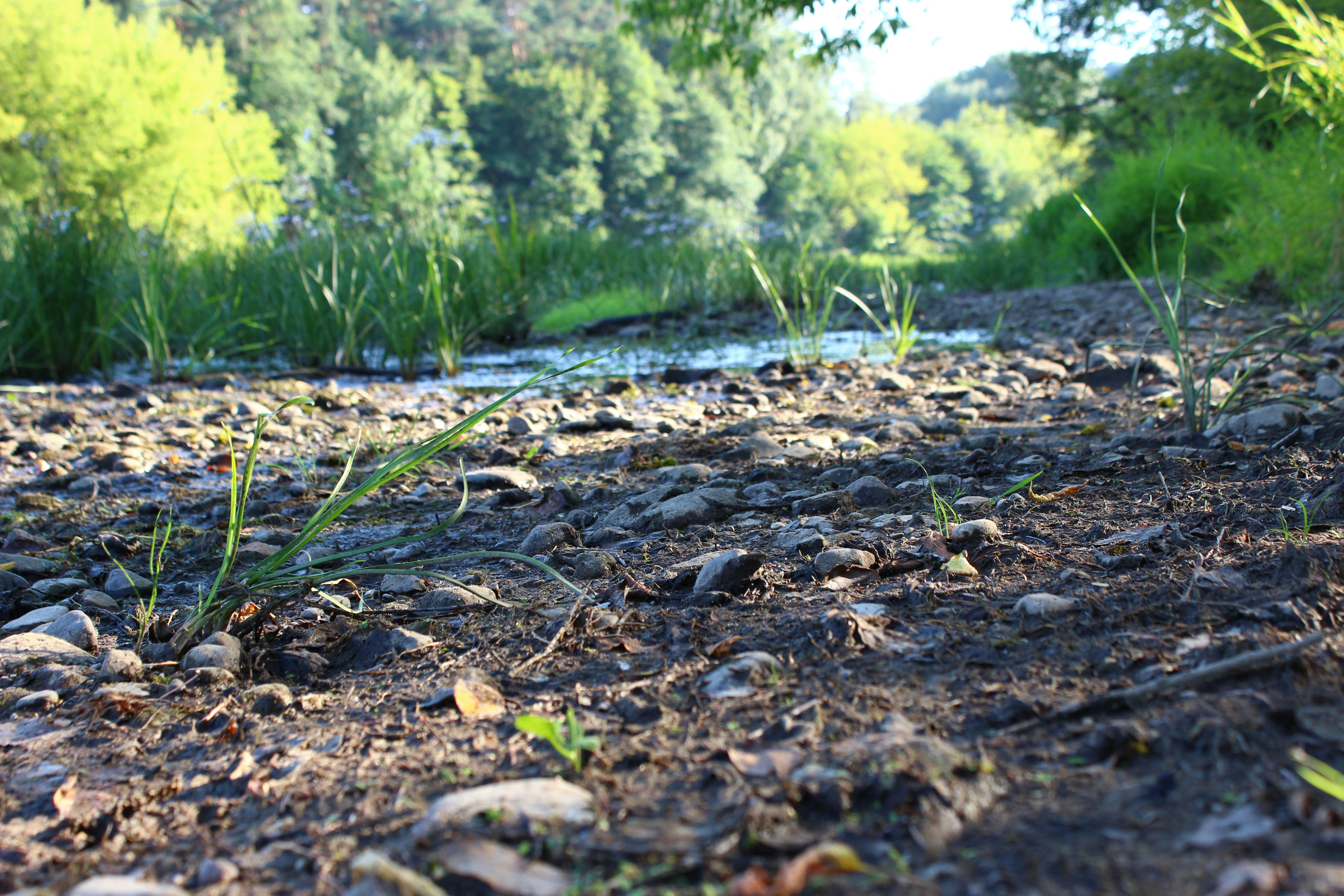 Free Unsplash photo from Andrej Naimušin