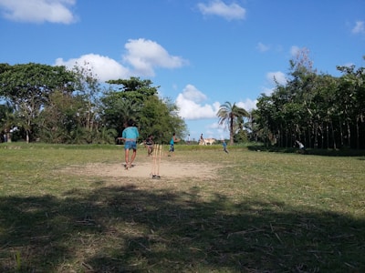 Several children are playing cricket in an open grassy field. There are trees and vegetation surrounding the area, with clear blue sky and a few clouds overhead. The cricket stumps are positioned in the middle of the field. One child is batting, and others are either playing or watching.