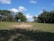 Several children are playing cricket in an open grassy field. There are trees and vegetation surrounding the area, with clear blue sky and a few clouds overhead. The cricket stumps are positioned in the middle of the field. One child is batting, and others are either playing or watching.