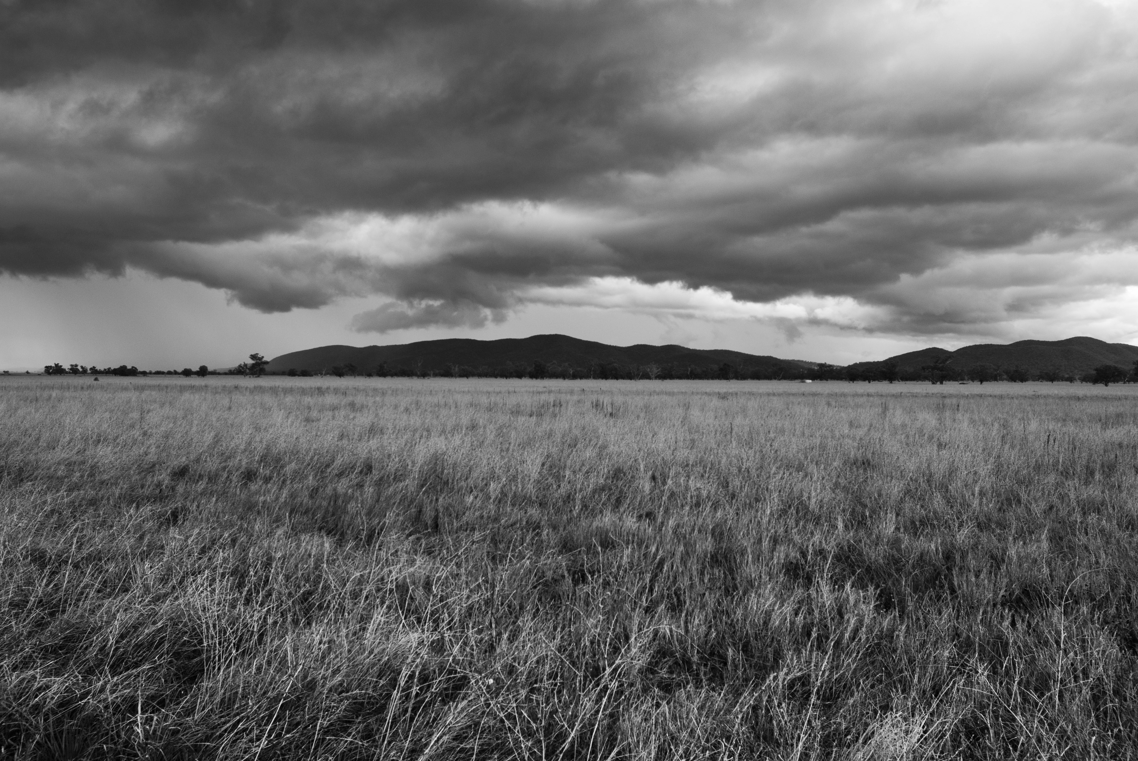 Free Unsplash photo from Steven Foster