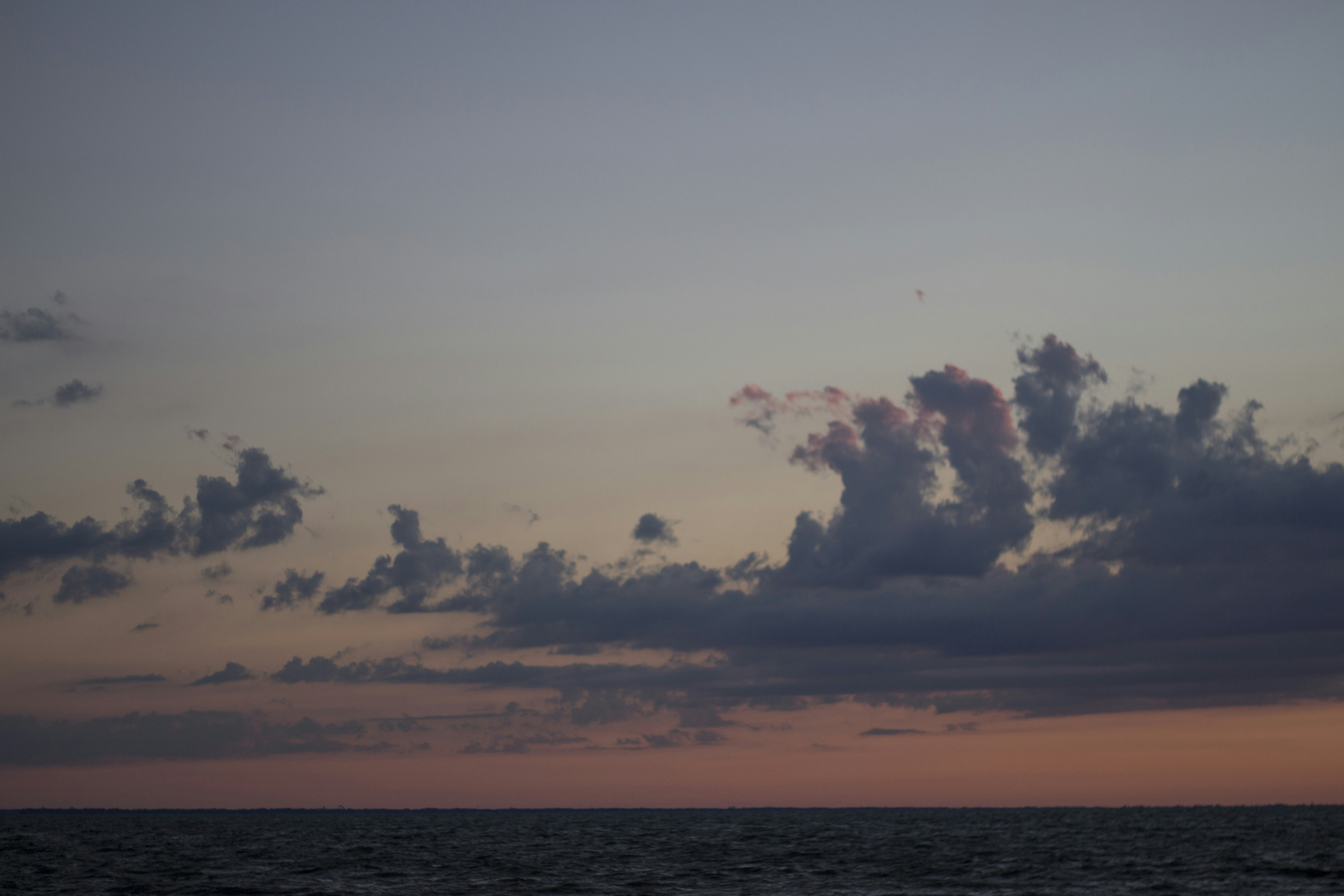 Free Unsplash photo from Alex Jones