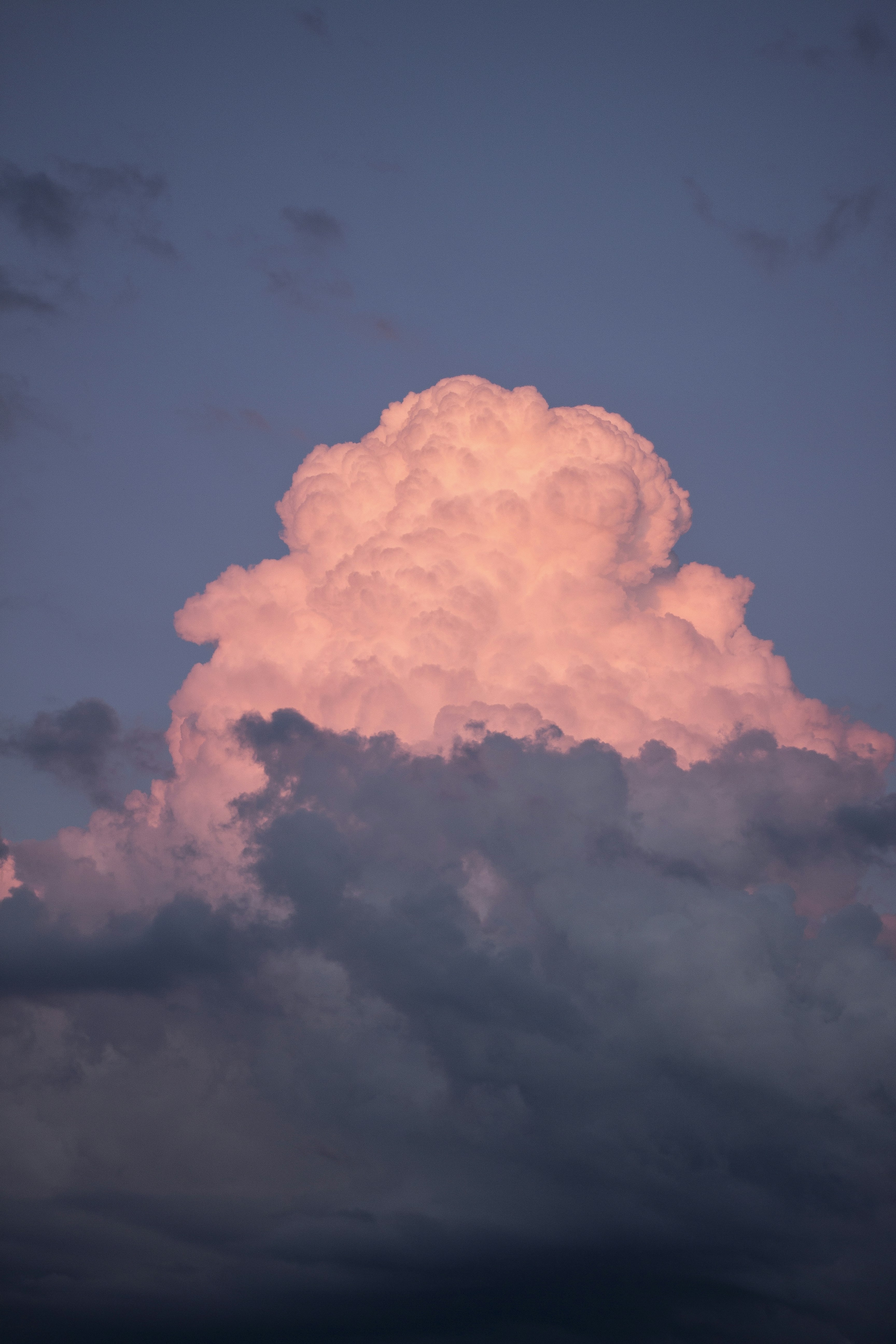 Free Unsplash photo from Alex Jones