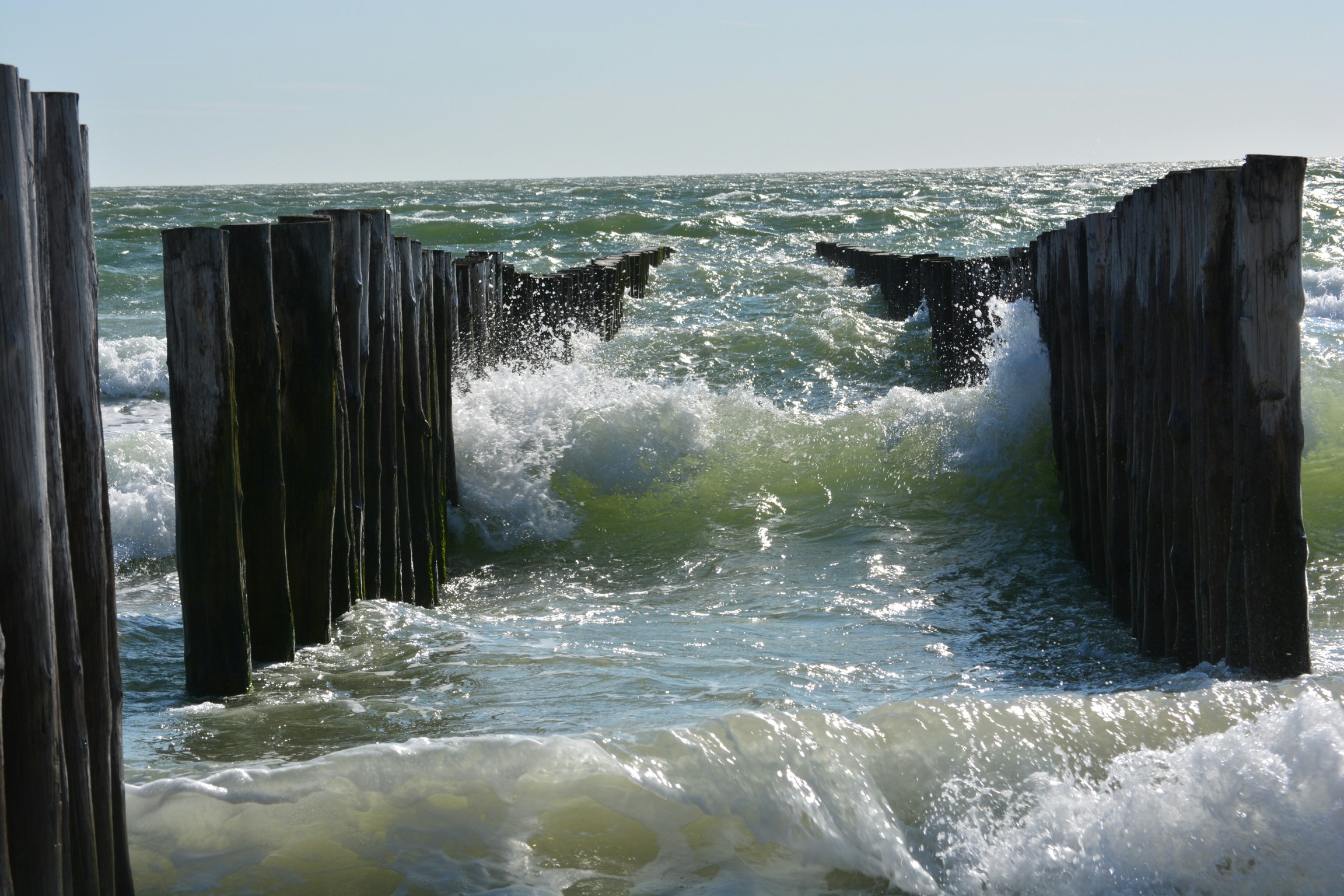 Free Unsplash photo from Herko Rozema