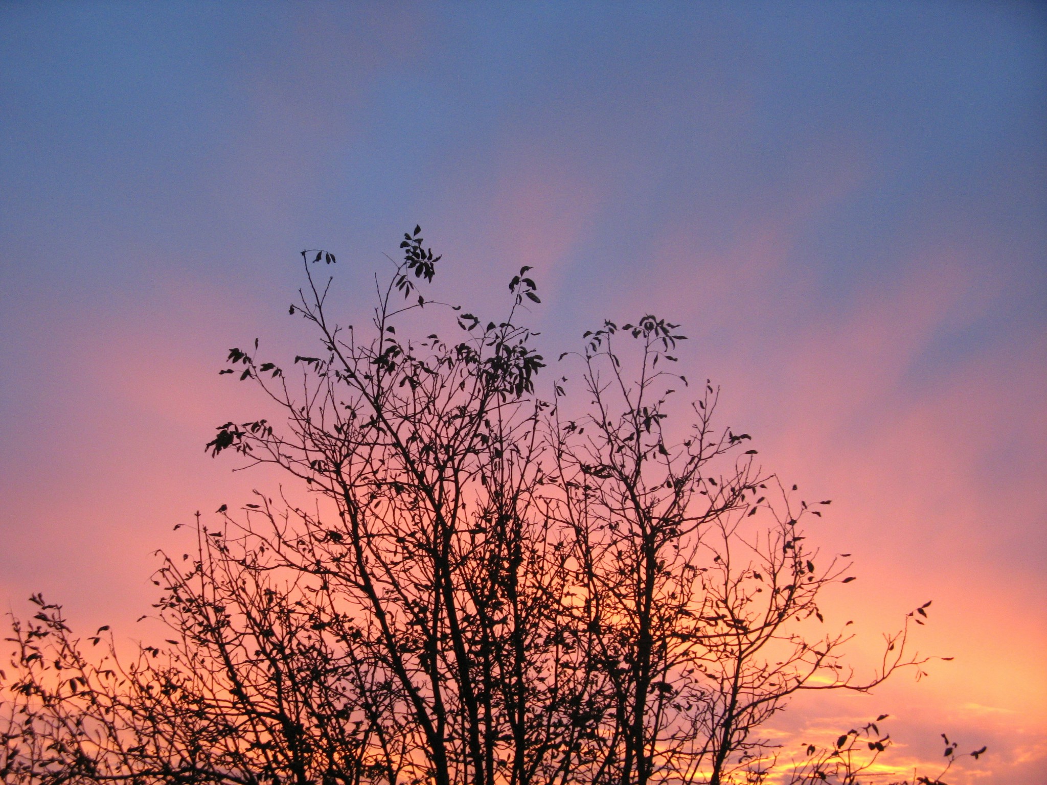 Free Unsplash photo from Haris Alibegovic