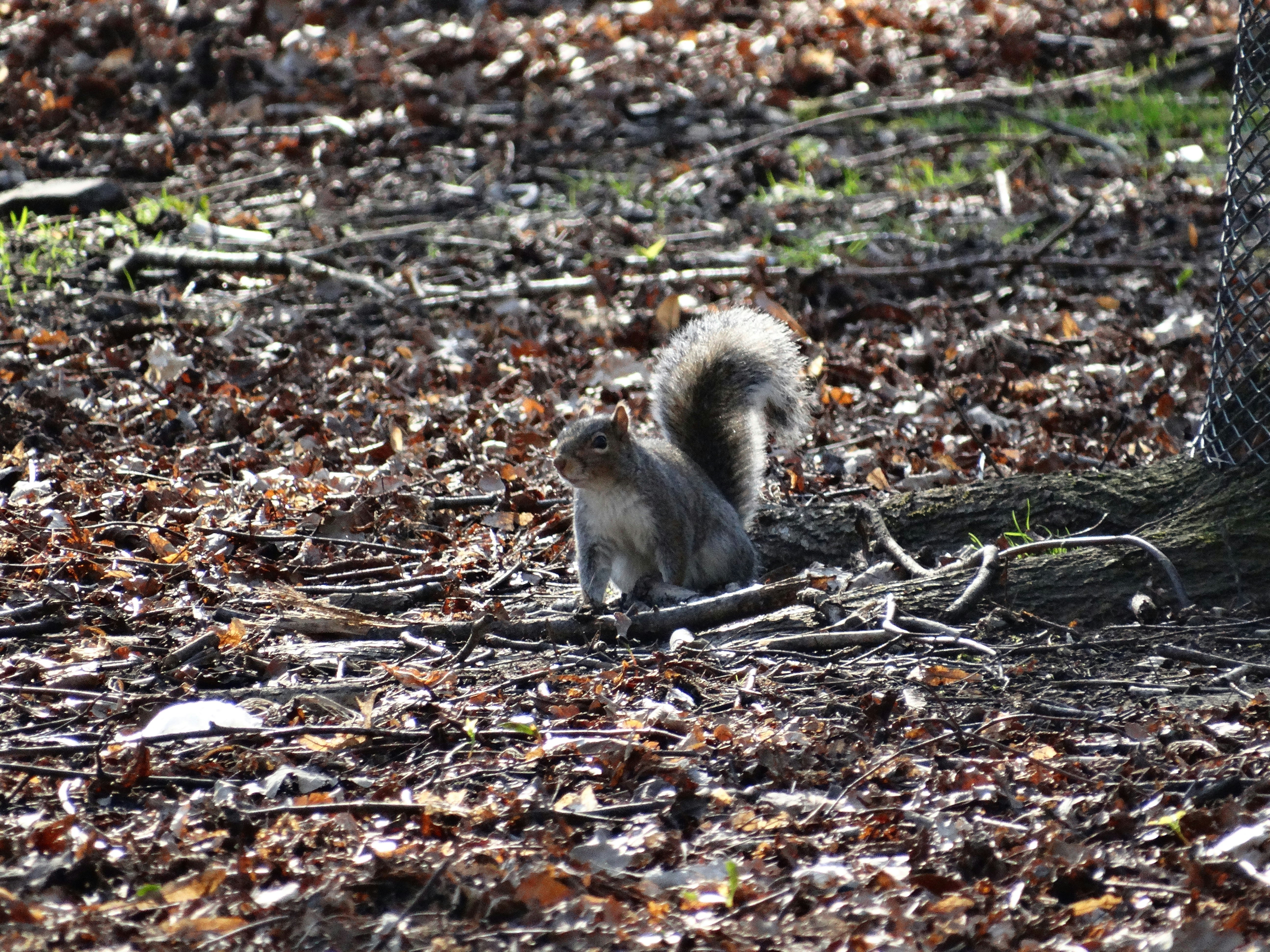 Free Unsplash photo from Eduardo Falcin