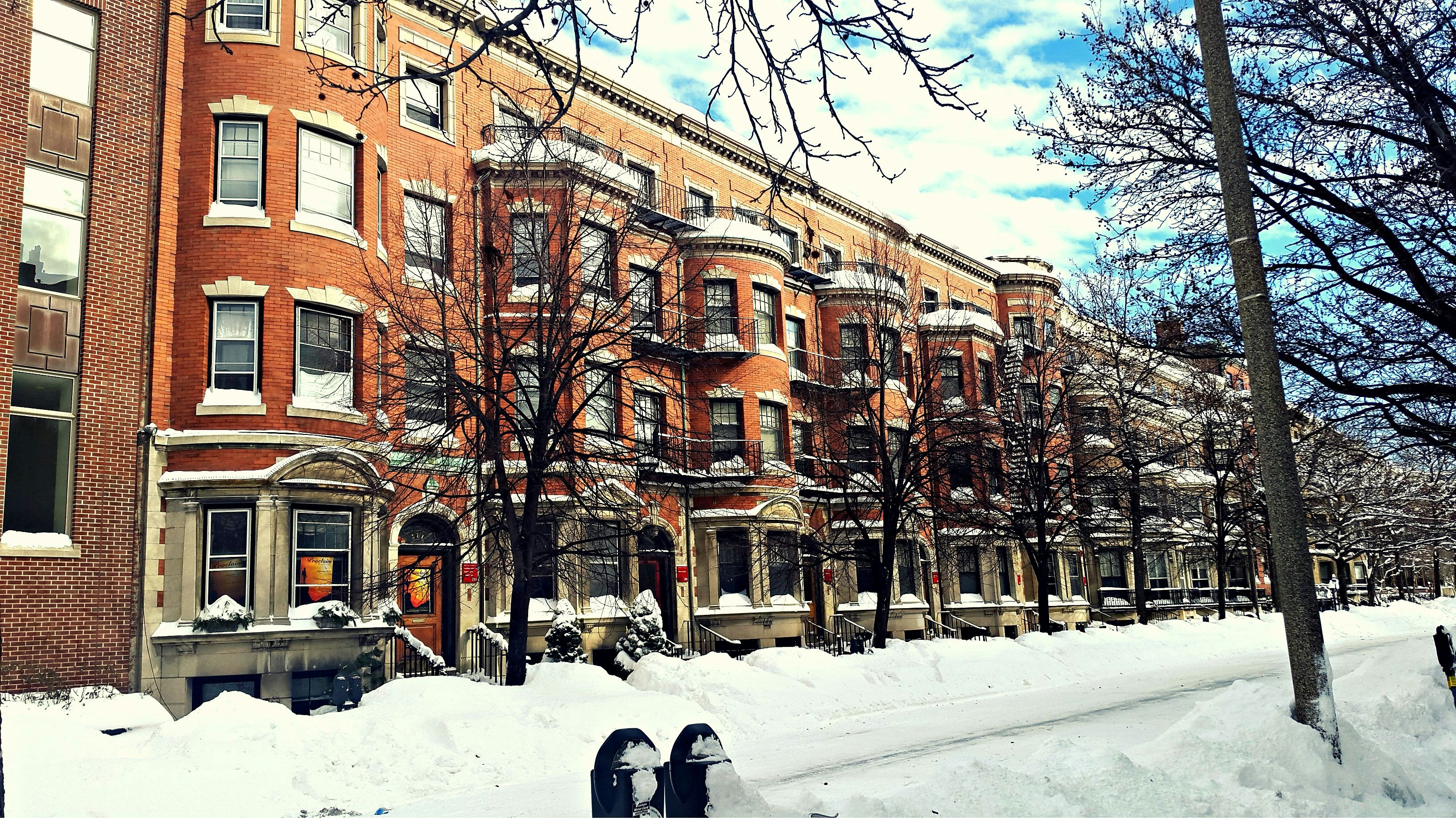 Free Unsplash photo from ergeta muca