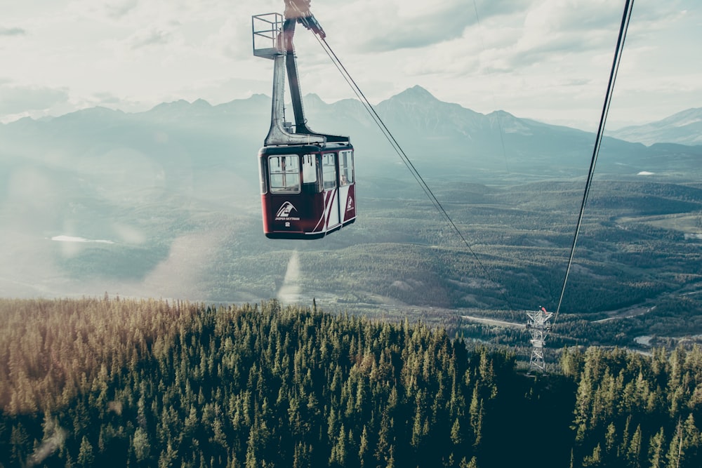 red and white cable cart above trees covered mountain