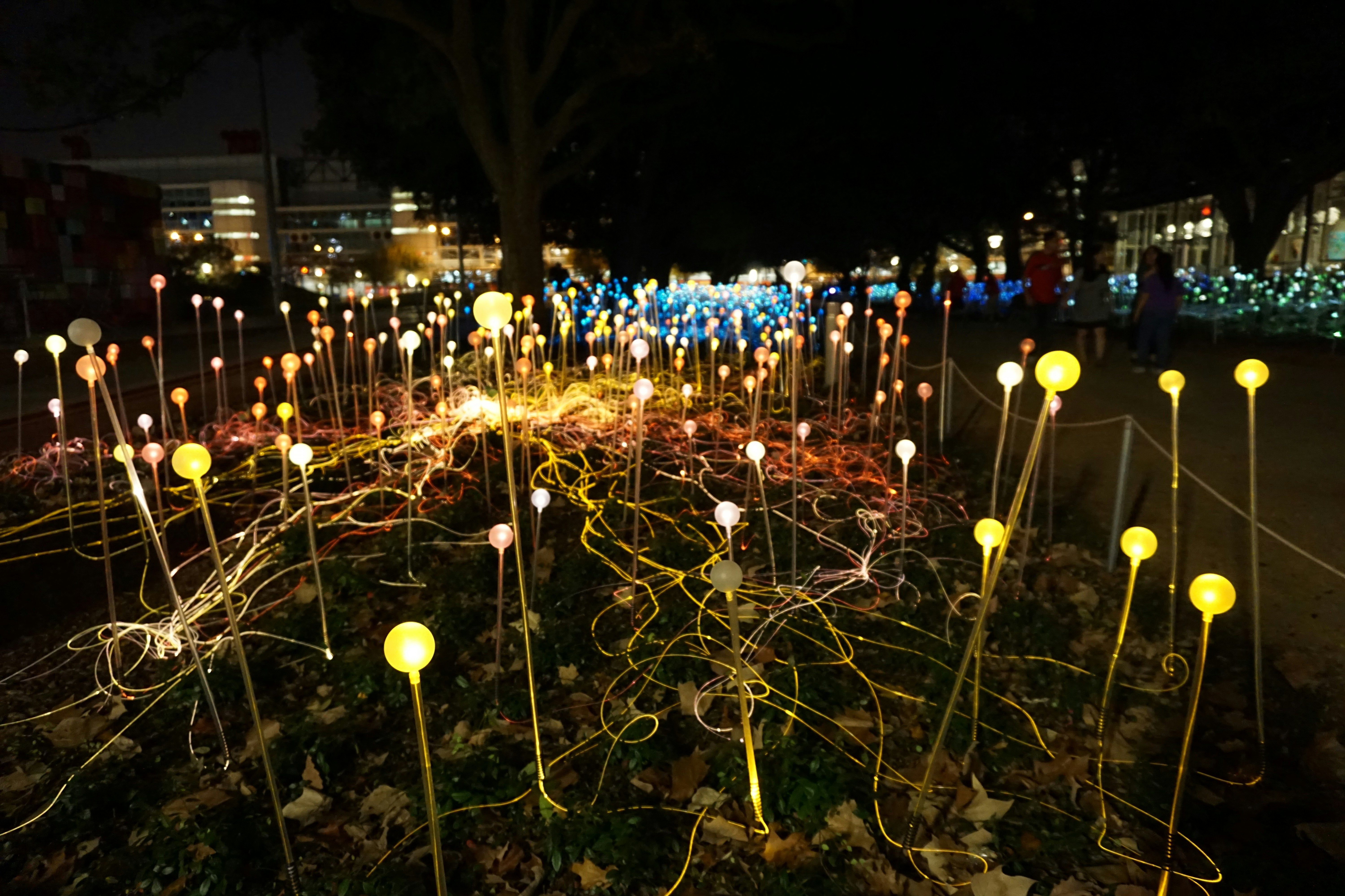 Free Unsplash photo from Shuo Han