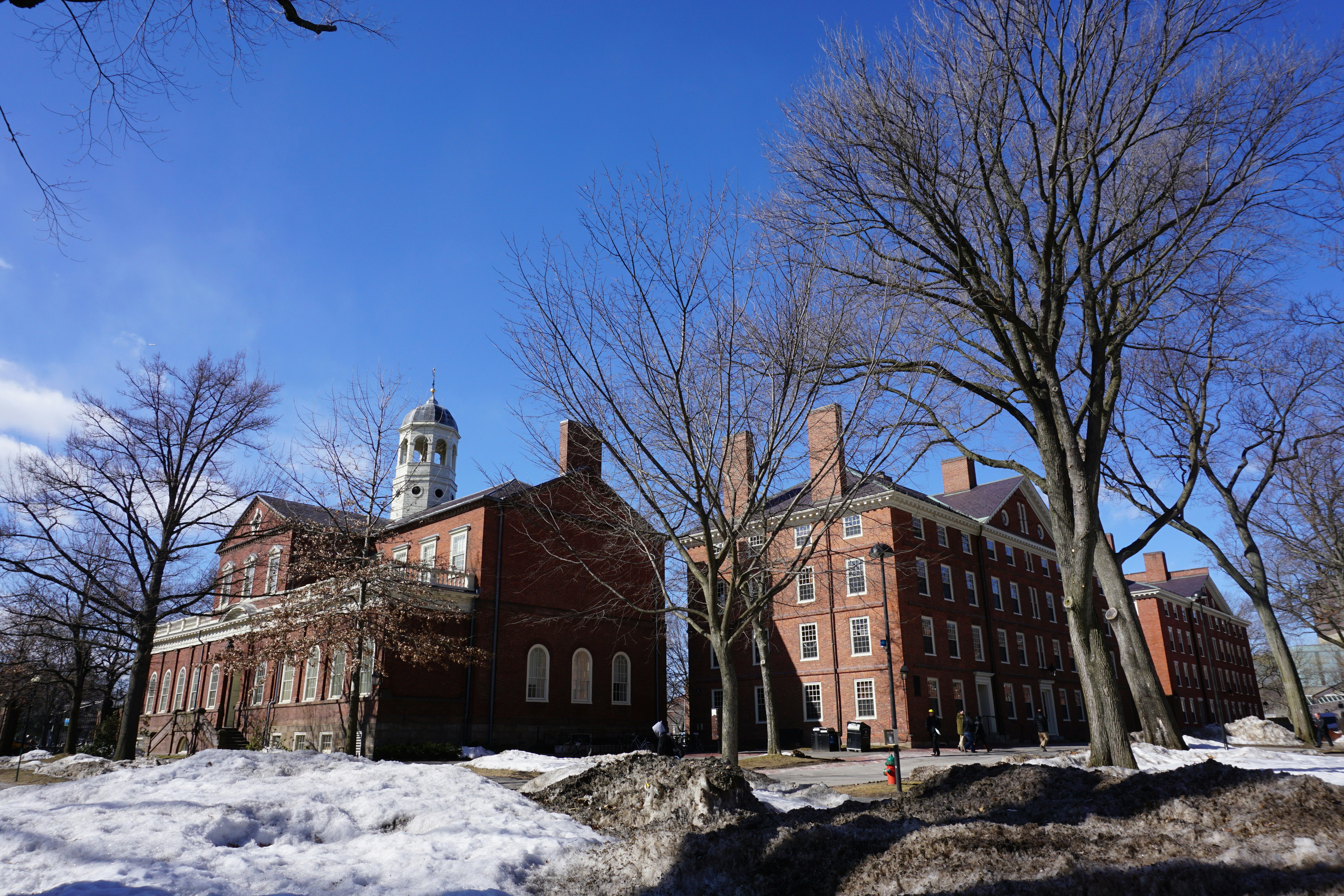 Free Unsplash photo from Shuo Han