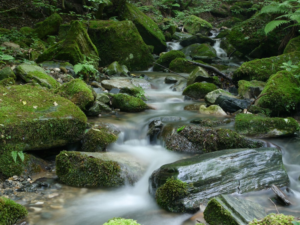 Fotografía de lapso de tiempo de corriente de agua