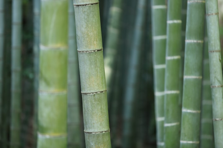 How To Install Bamboo Flooring