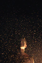 Alchimie interne taoïste
