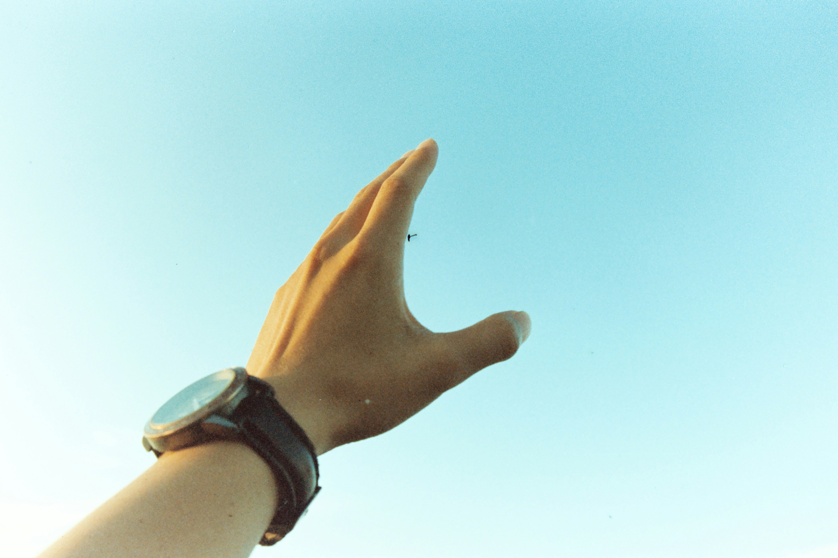 Free Unsplash photo from Duy Vo