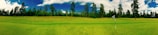 Wide shot of a golf course fairway lined with pine trees under a bright blue sky.