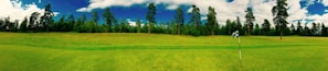 A wide expanse of neatly manicured green grass stretches across a golf course, bordered by a line of tall pine trees in the background under a vibrant blue sky with scattered clouds. A solitary golf flag stands on the course, hinting at a hole nearby.