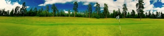 A wide expanse of neatly manicured green grass stretches across a golf course, bordered by a line of tall pine trees in the background under a vibrant blue sky with scattered clouds. A solitary golf flag stands on the course, hinting at a hole nearby.
