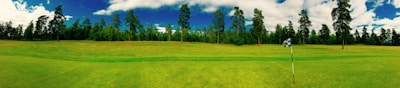 A wide expanse of neatly manicured green grass stretches across a golf course, bordered by a line of tall pine trees in the background under a vibrant blue sky with scattered clouds. A solitary golf flag stands on the course, hinting at a hole nearby.
