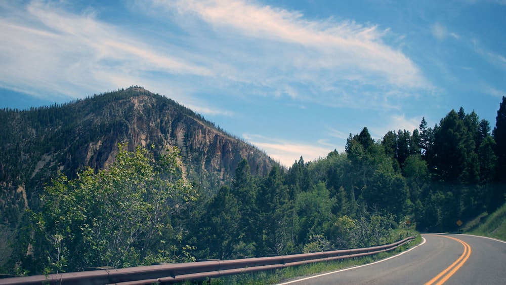 grey road surrounded by green trees overlooking mountain during daytime