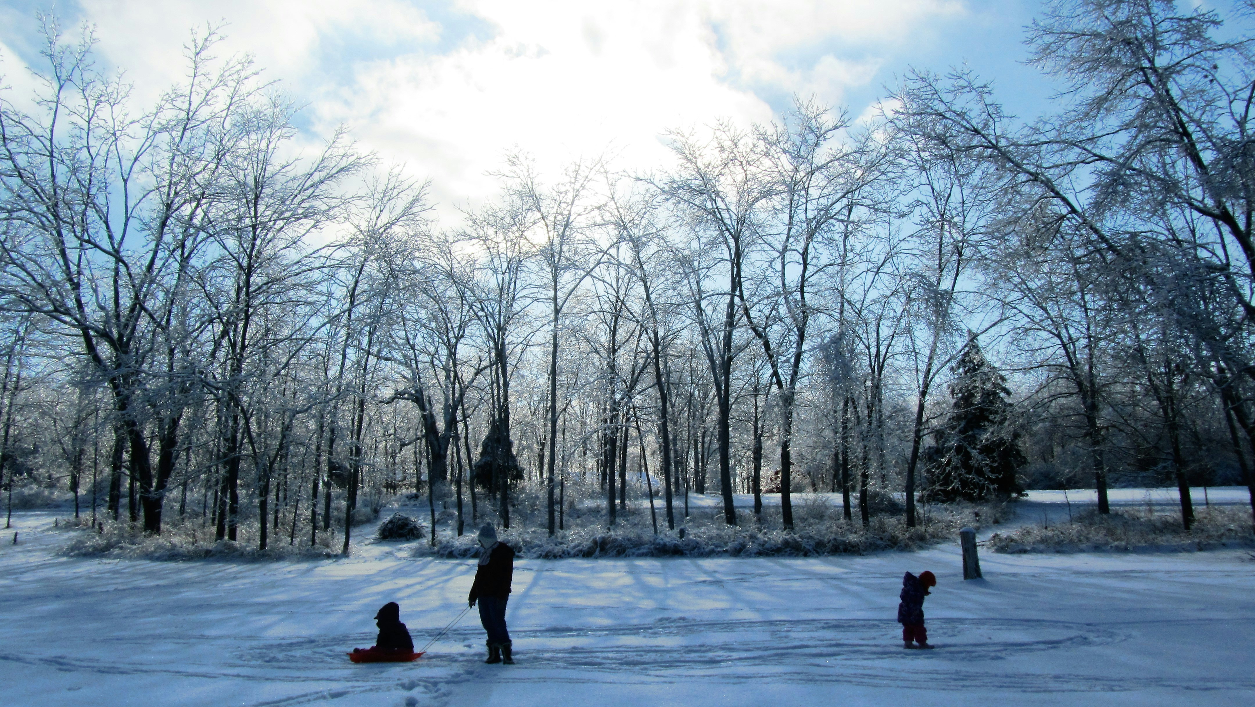 Free Unsplash photo from Jason Bass