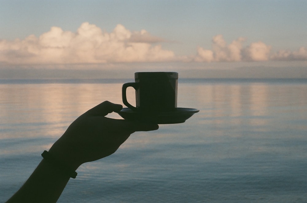 person holding white saucer