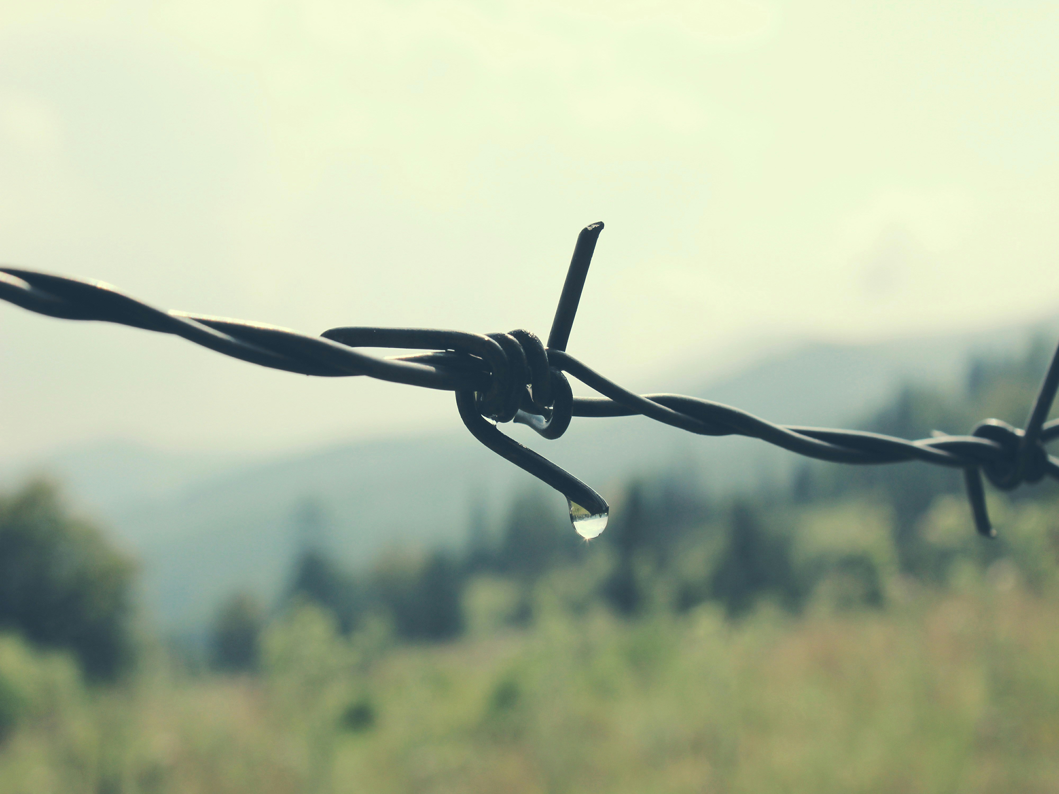 Free Unsplash photo from Alexandru Tudorache