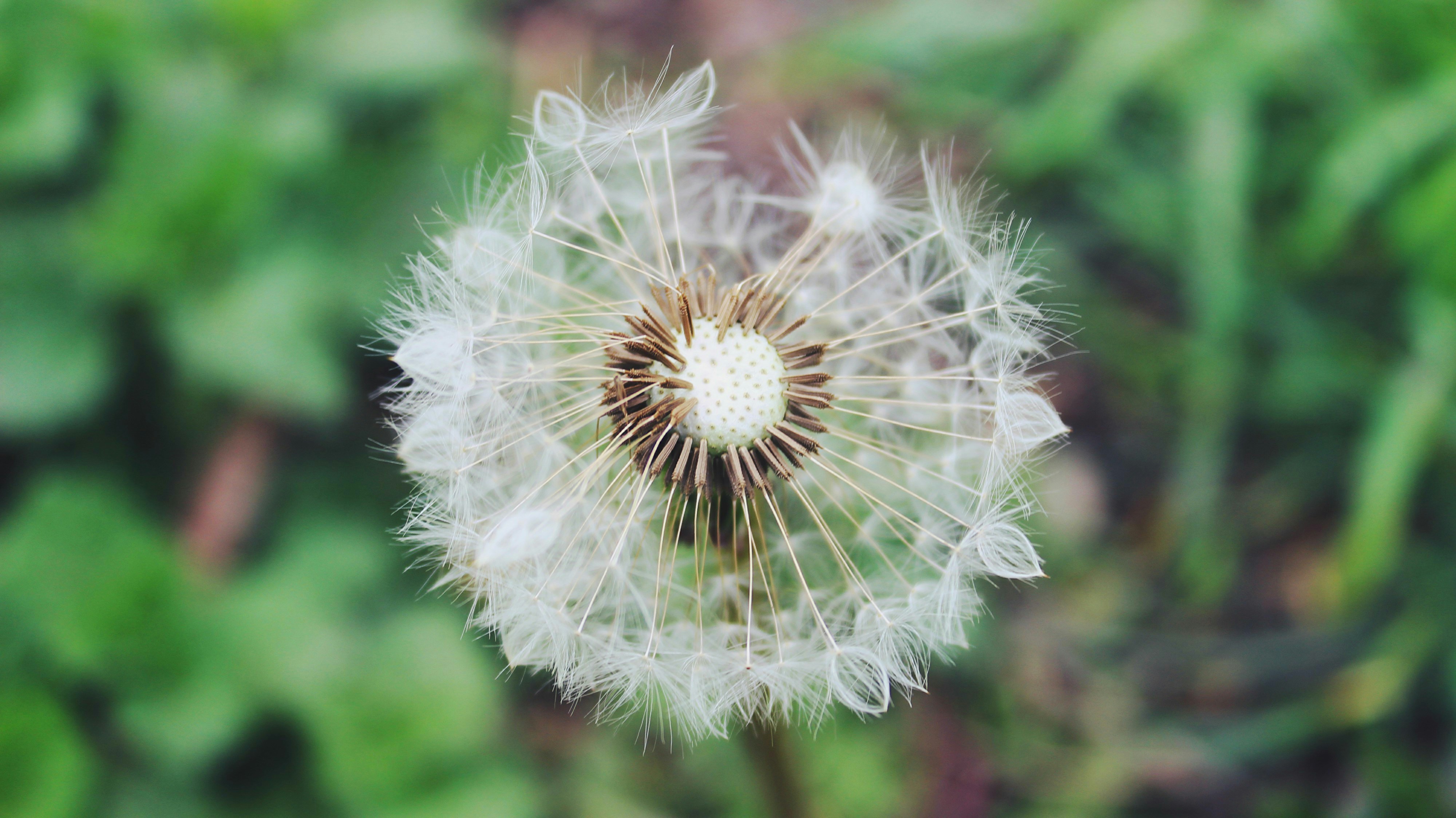 Free Unsplash photo from Alexandru Tudorache