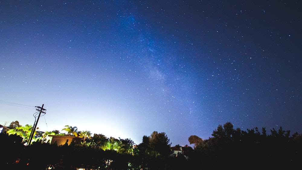 árboles verdes bajo el cielo azul durante la noche