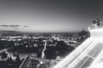 Black and white portrait of a city skyline at dusk.