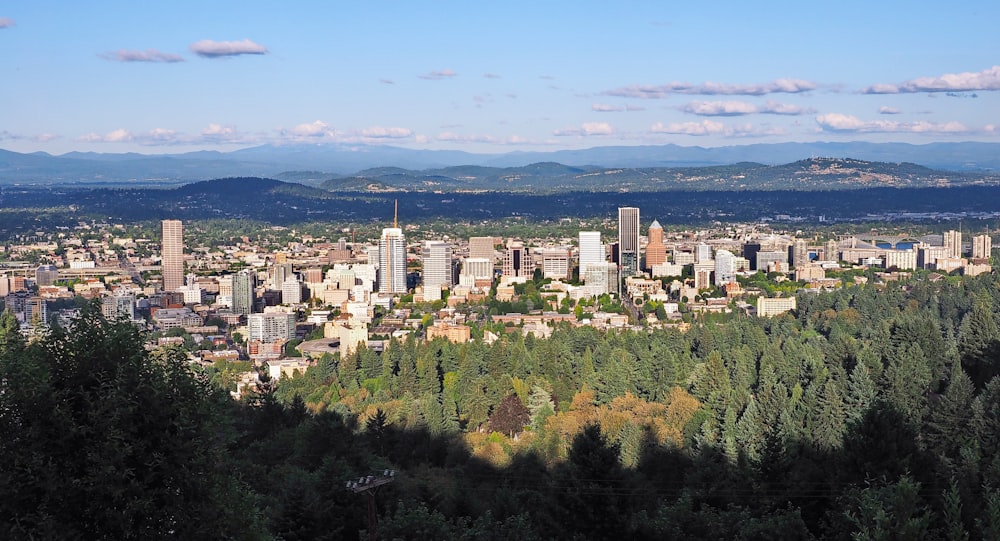 aerial view of city landscape during daytime