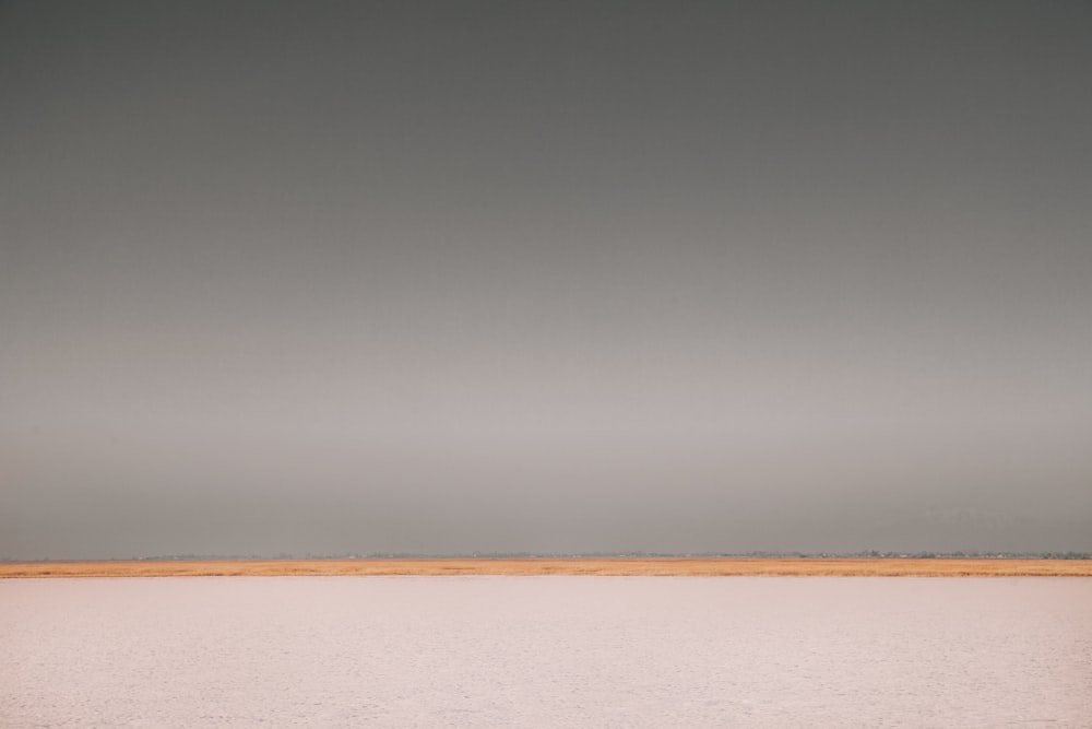 a lone tree in the middle of the desert