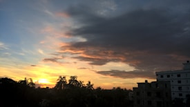 The image depicts a tranquil sunset scene with a vibrant sky transitioning through shades of blue and orange. Palm trees silhouette against the horizon, while a dark cloud subtly contrasts with the lighter sky. Buildings are visible in the foreground, creating an urban juxtaposition with the natural landscape.