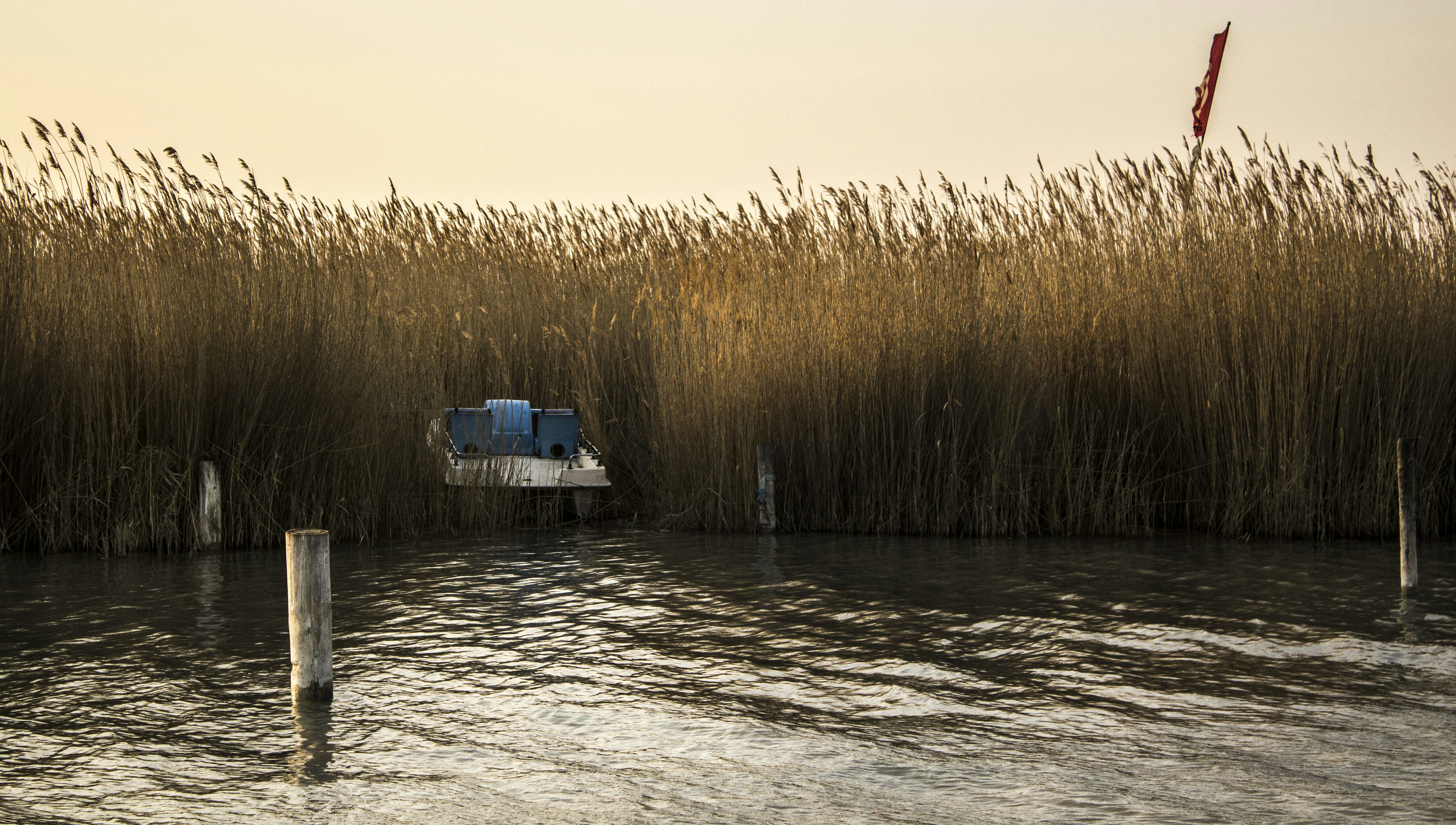 Free Unsplash photo from Marco Lilli