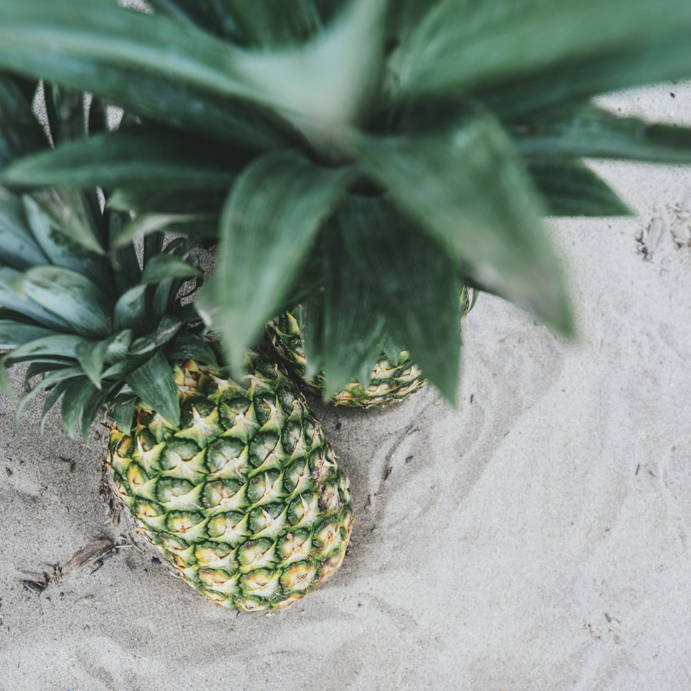 two pineapples on sand