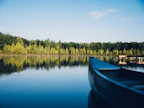 grey canoe on calm body of water near tall trees at daytime