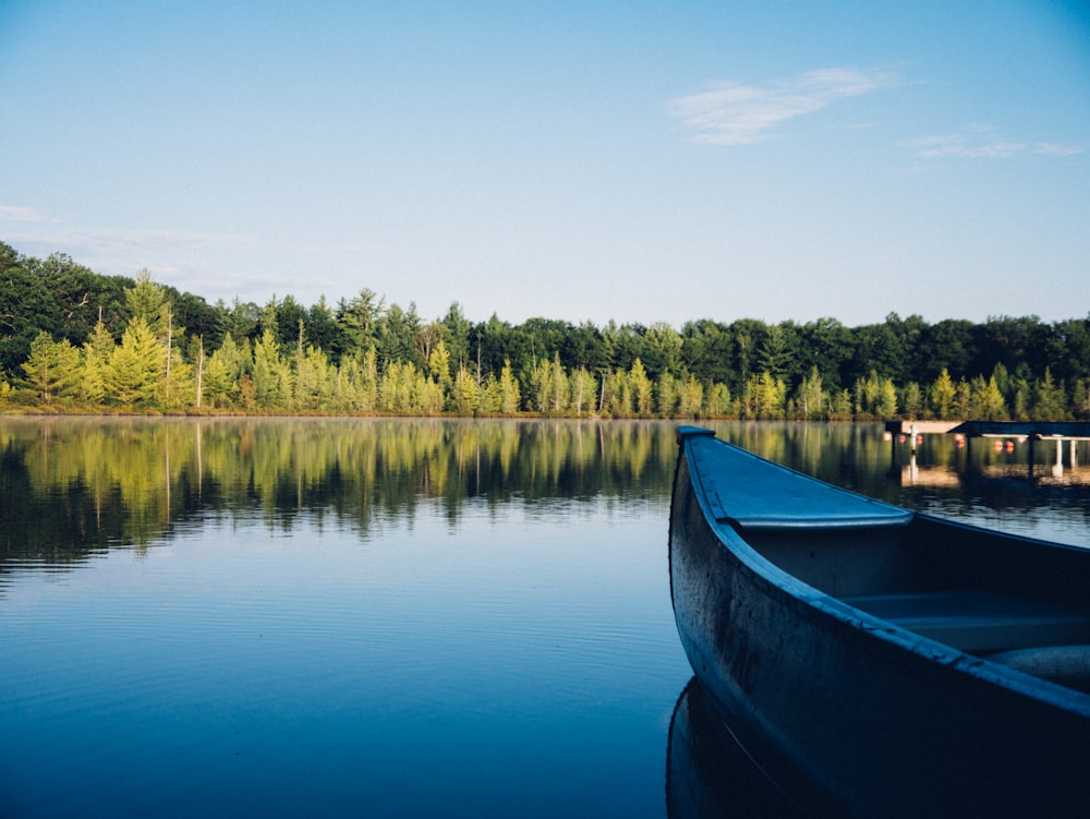 canoa cinzenta no corpo calmo de água perto de árvores altas durante o dia