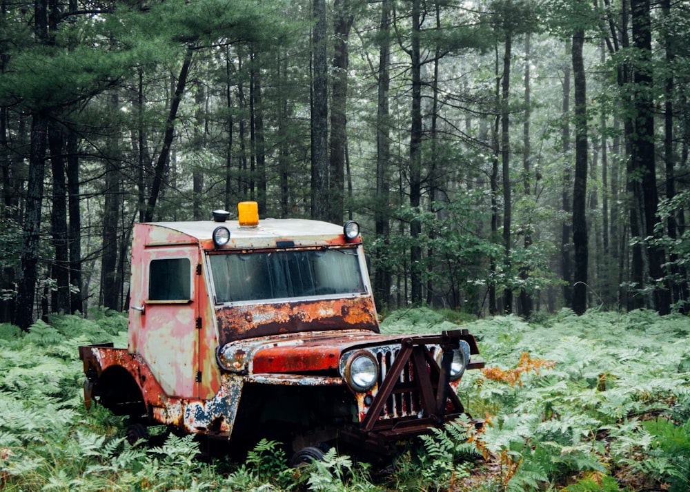 brown car parked at forest