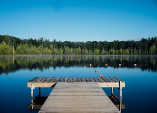 brown wooden dock near calm body of water surrounded by trees