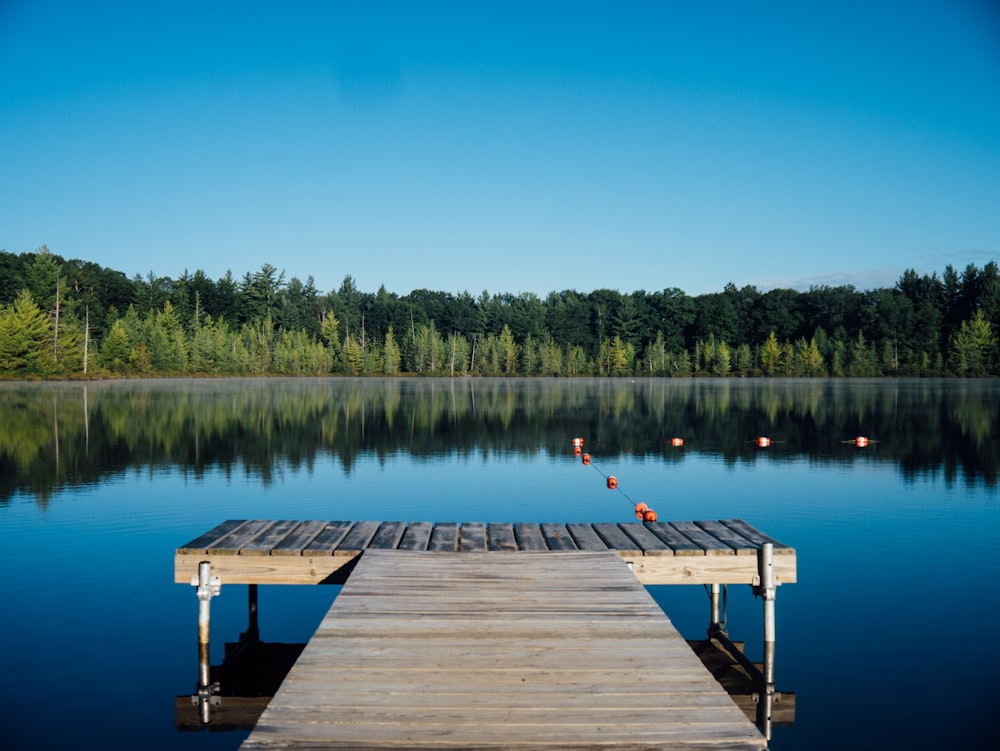 molo di legno marrone vicino a uno specchio d'acqua calmo circondato da alberi