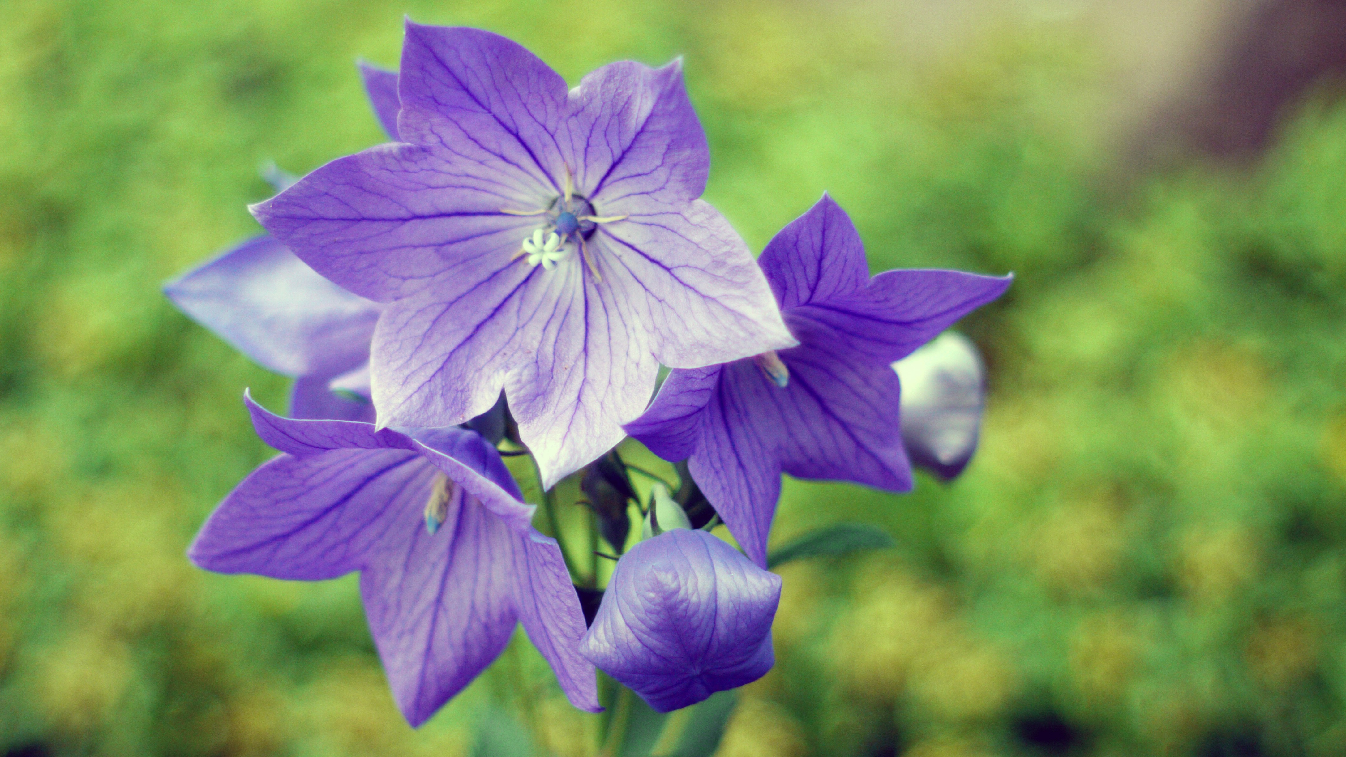 Free Unsplash photo from Jason Bass