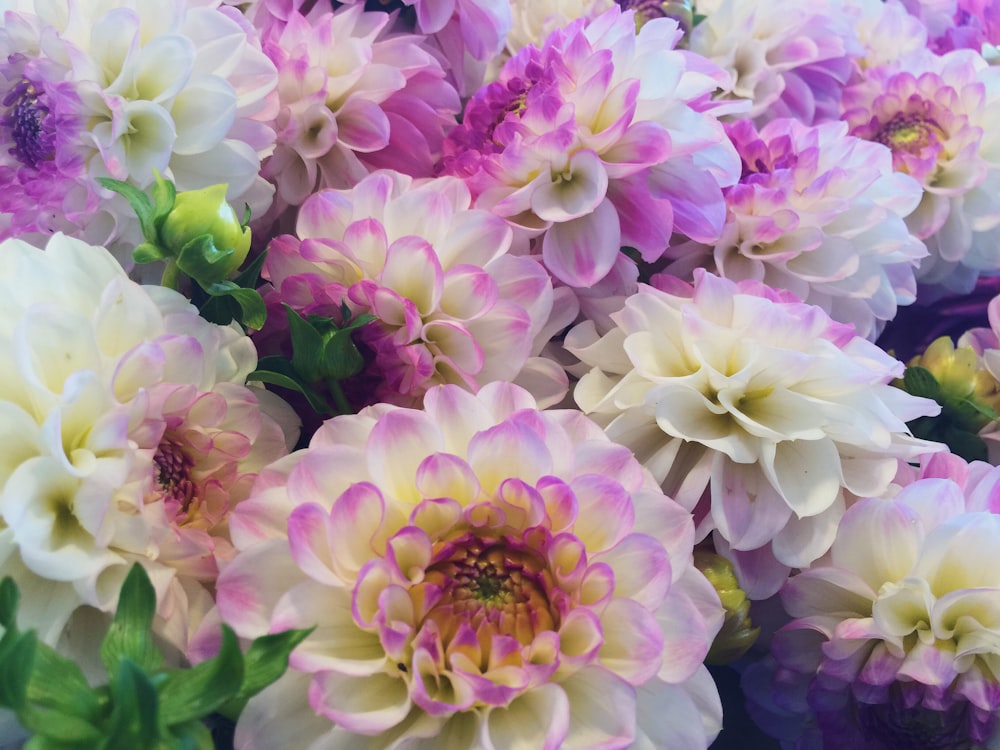 Beautiful white, purple and yellow toned flowers.