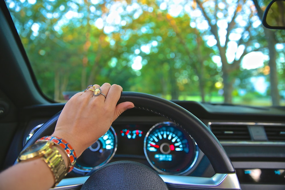 person holding steering wheel