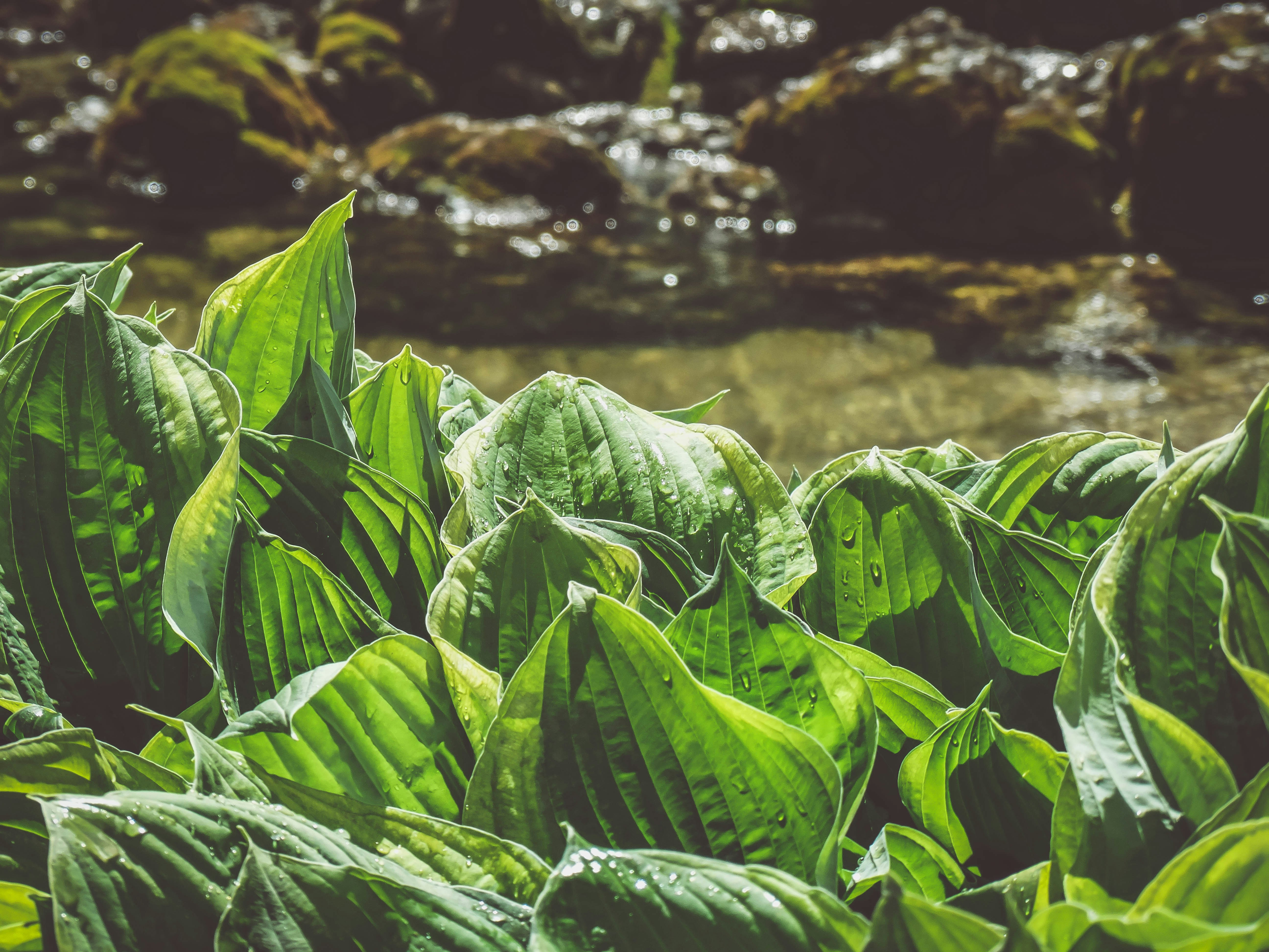 Free Unsplash photo from Yekaterina Perfilyeva