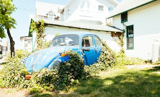 blue Volkswagen Beetle chassis covered in green vines