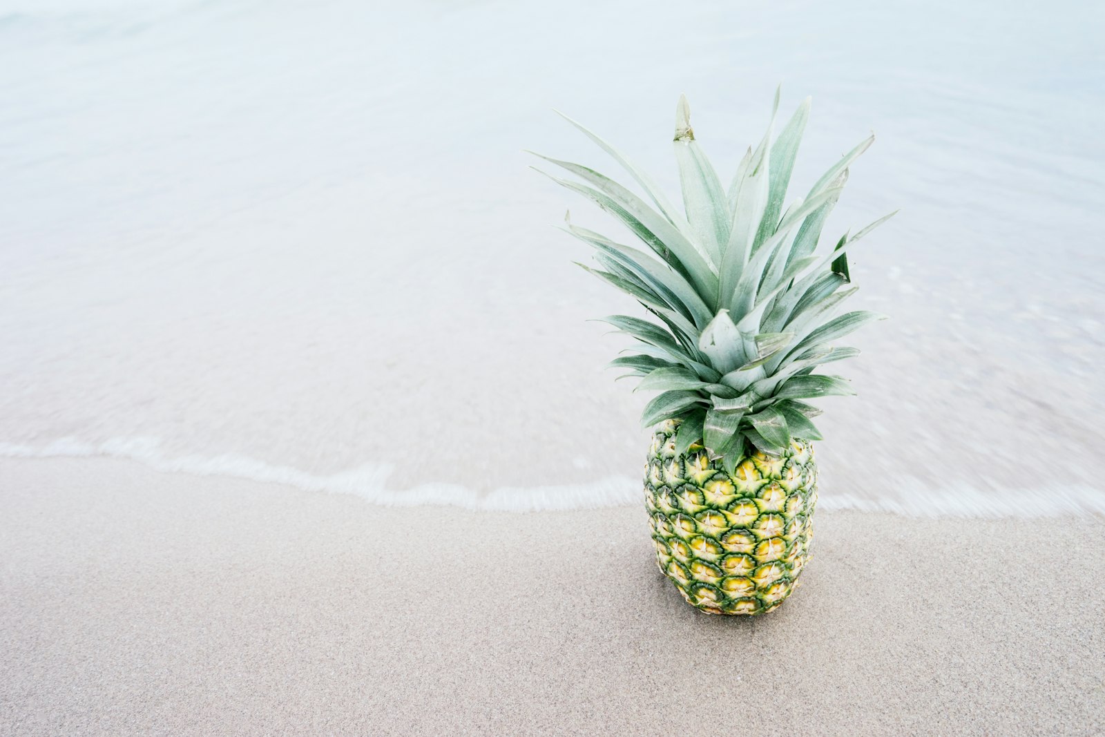 Sony a7 II + Sony Vario-Tessar T* FE 16-35mm F4 ZA OSS sample photo. Photography of pineapple fruit photography