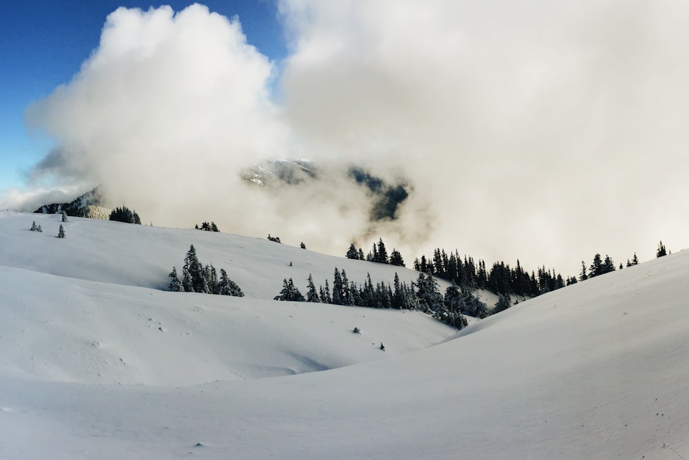 montaña de nieve