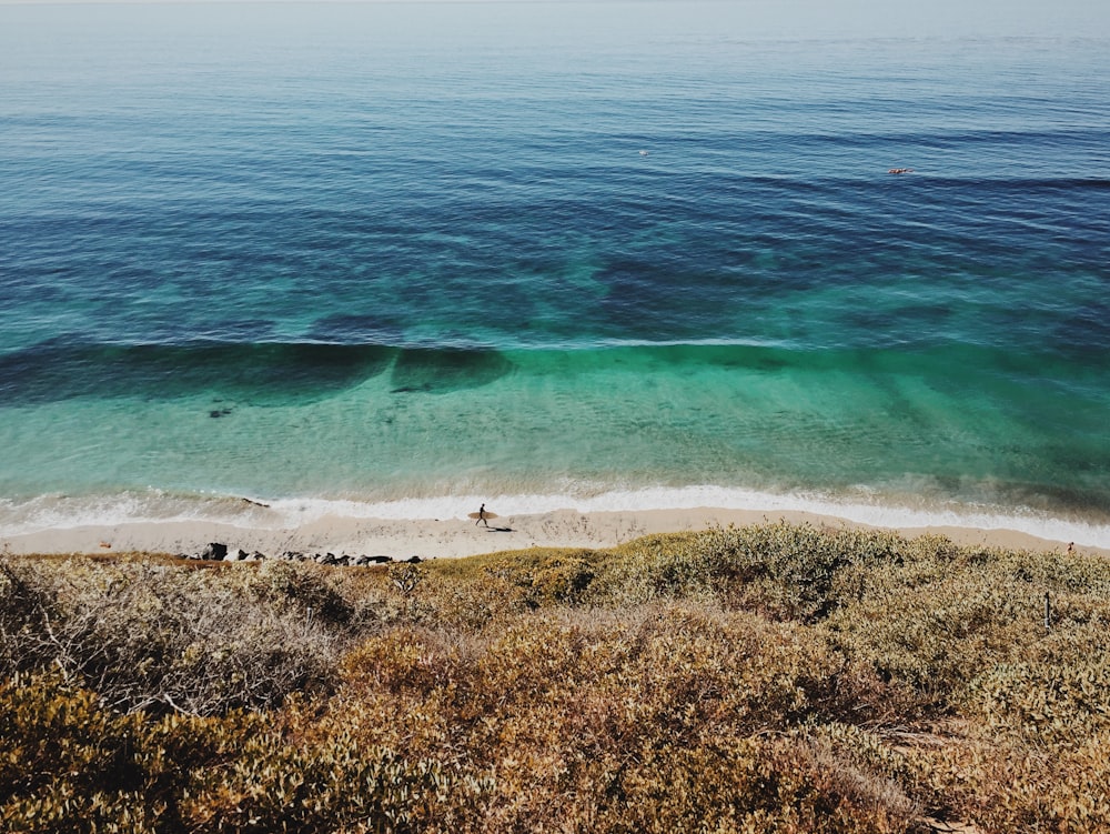 aerial photo of ocean and brown grass field photo taken during daytime