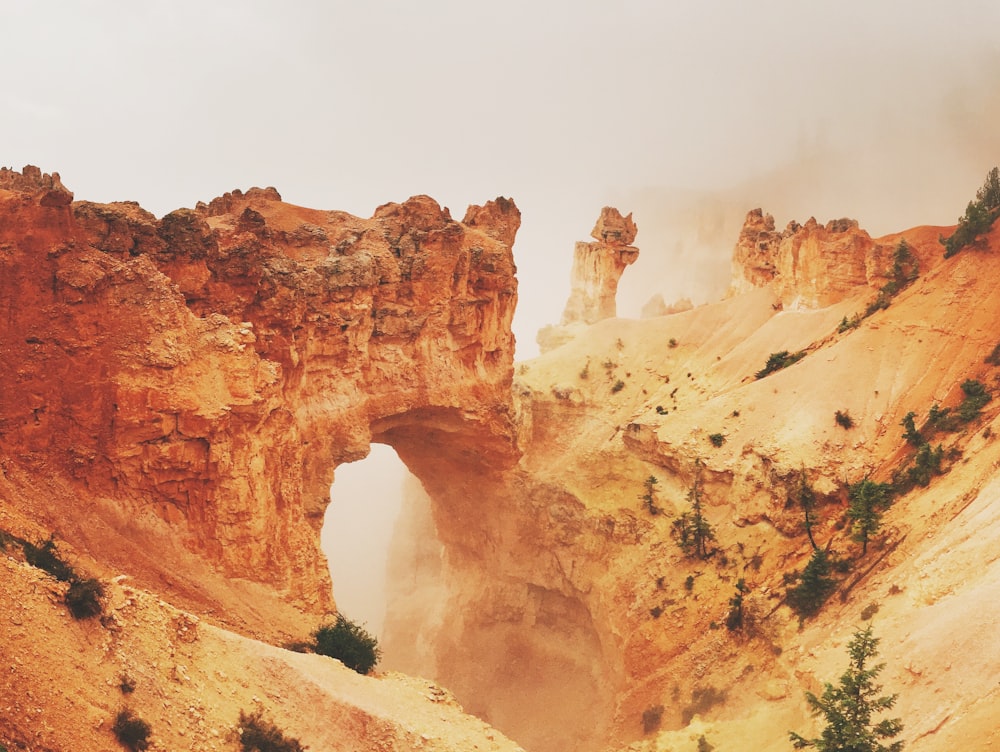 brown rock formation near trees during daytime