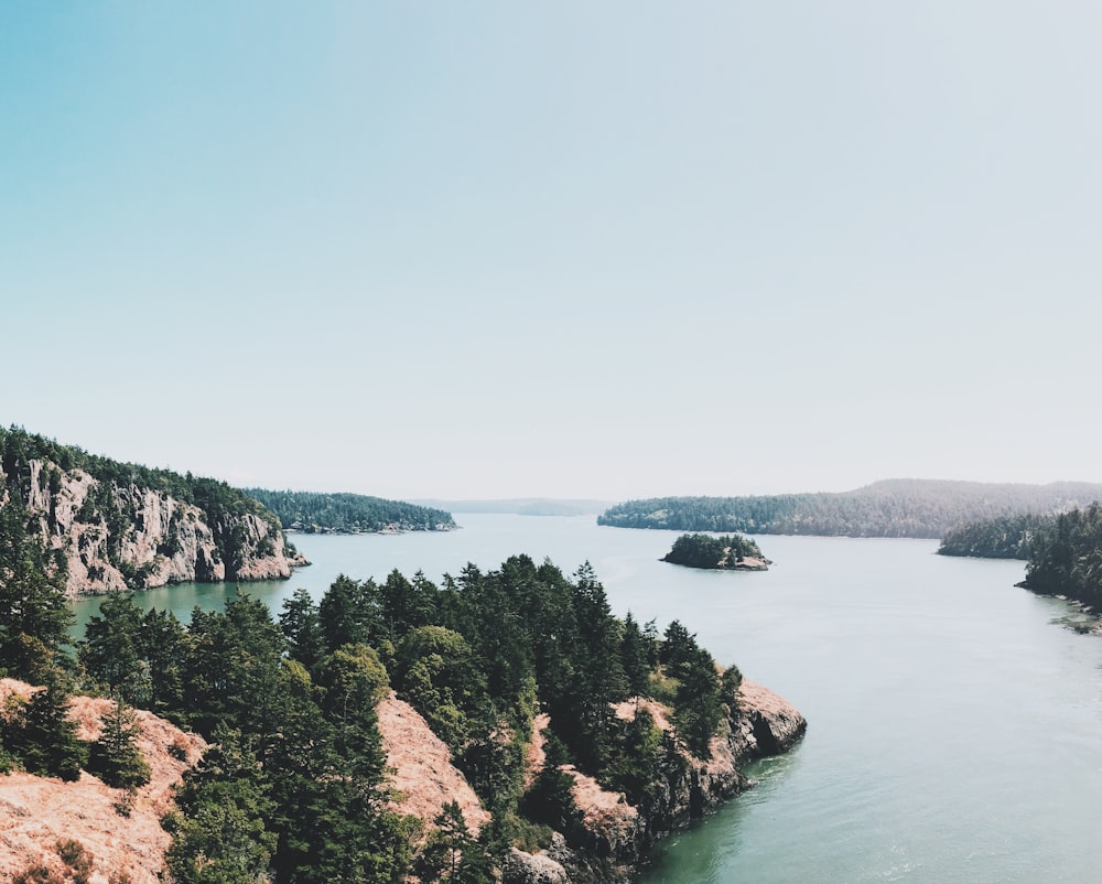 photo of green trees near body of water