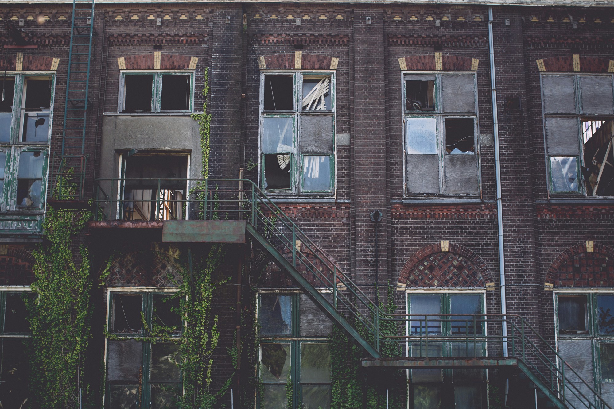 Free Unsplash photo from Menno de Geest